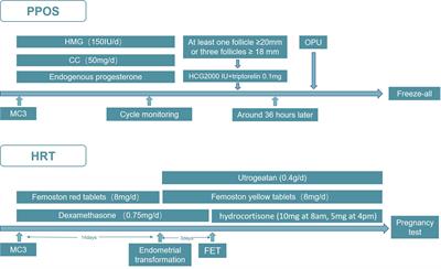 Reproductive endocrine characteristics and in vitro fertilization treatment of female patients with partial 17α-hydroxylase deficiency: Two pedigree investigations and a literature review